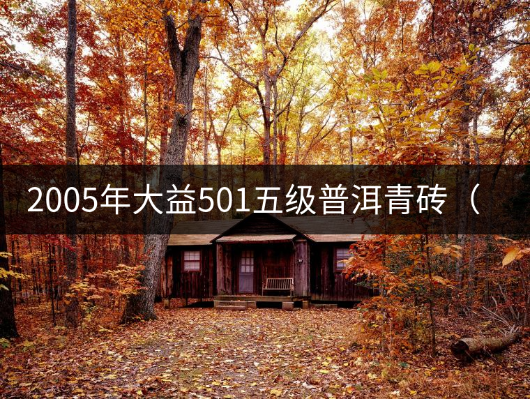 2005年大益501五級普洱青磚(250克)開湯品鑒 2005年大益501五級普洱青磚(250克)開湯品鑒