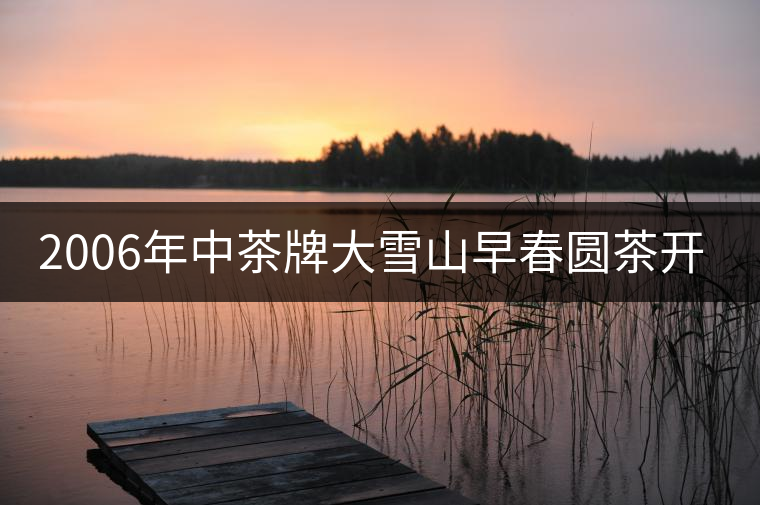 2006年中茶牌大雪山早春圓茶開湯品鑒 2006年中茶牌大雪山早春圓茶開湯品鑒
