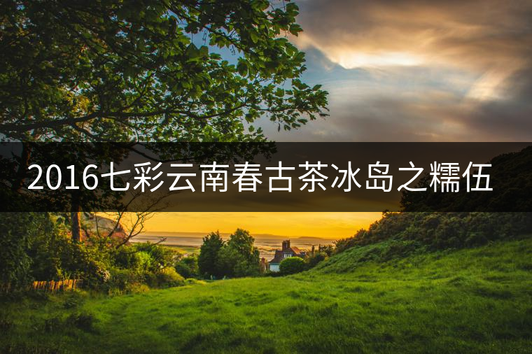 2016七彩云南春古茶冰島之糯伍·后起之秀開湯 2016七彩云南春古茶冰島之糯伍·后起之秀開湯