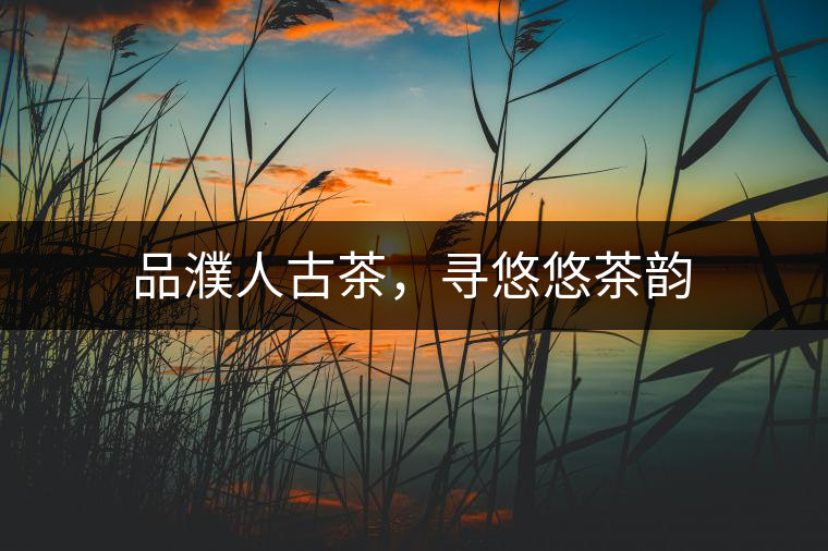 品濮人古茶，尋悠悠茶韻