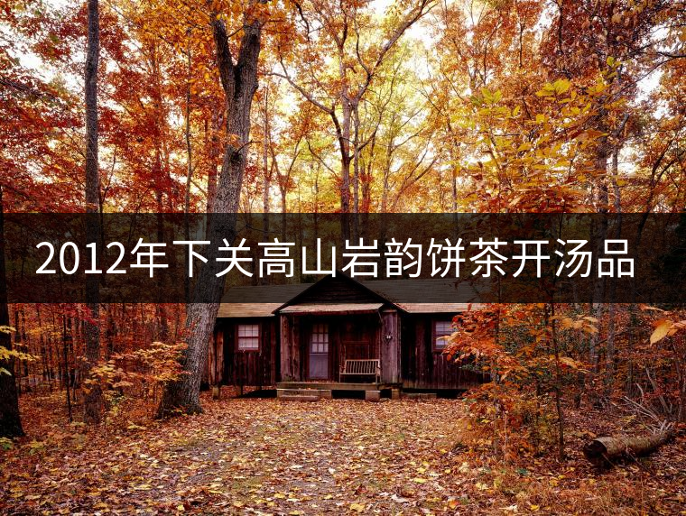 2012年下關(guān)高山巖韻餅茶開湯品鑒 2012年下關(guān)高山巖韻餅茶開湯品鑒