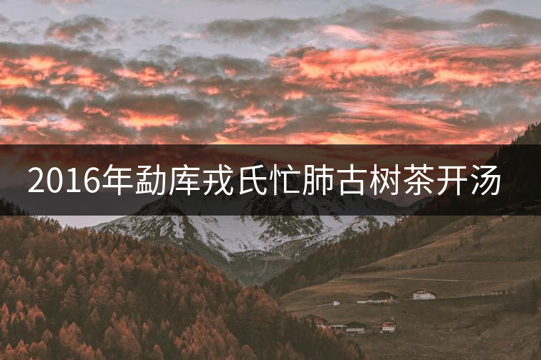2016年勐庫戎氏忙肺古樹茶開湯賞析