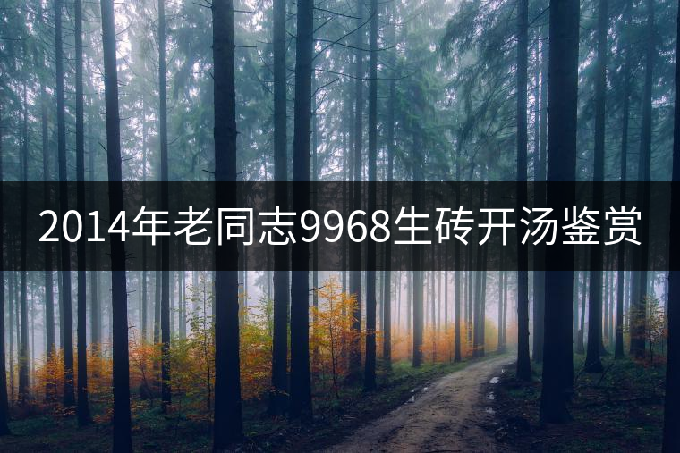2014年老同志9968生磚開湯鑒賞