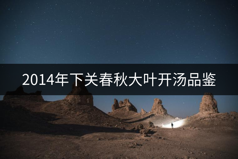 2014年下關(guān)春秋大葉開(kāi)湯品鑒