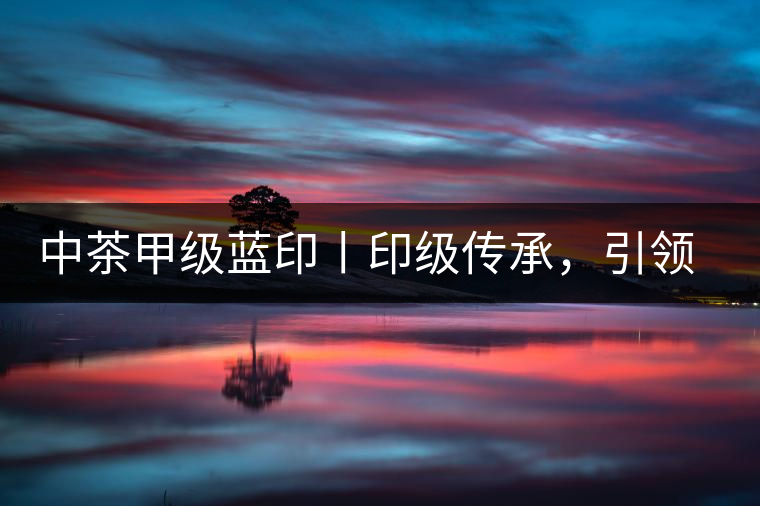 中茶甲級(jí)藍(lán)印丨印級(jí)傳承，引領(lǐng)風(fēng)韻