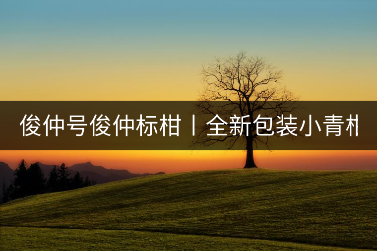 俊仲號(hào)俊仲標(biāo)柑丨全新包裝小青柑震撼上市！