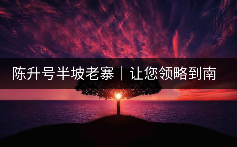 陳升號半坡老寨｜讓您領略到南糯山大樹茶口感的地道！