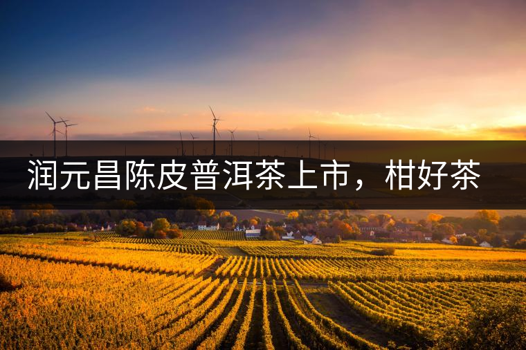 潤(rùn)元昌陳皮普洱茶上市，柑好茶更好，精品普洱茶