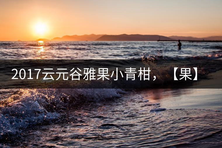 2017云元谷雅果小青柑，【果】真來了