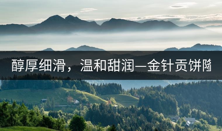 醇厚細(xì)滑，溫和甜潤—金針貢餅隆重上市！