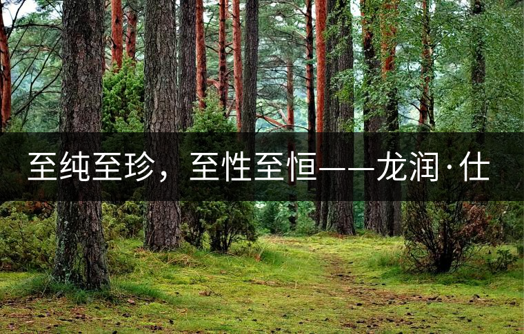 至純至珍，至性至恒——龍潤·仕通茶新上市！