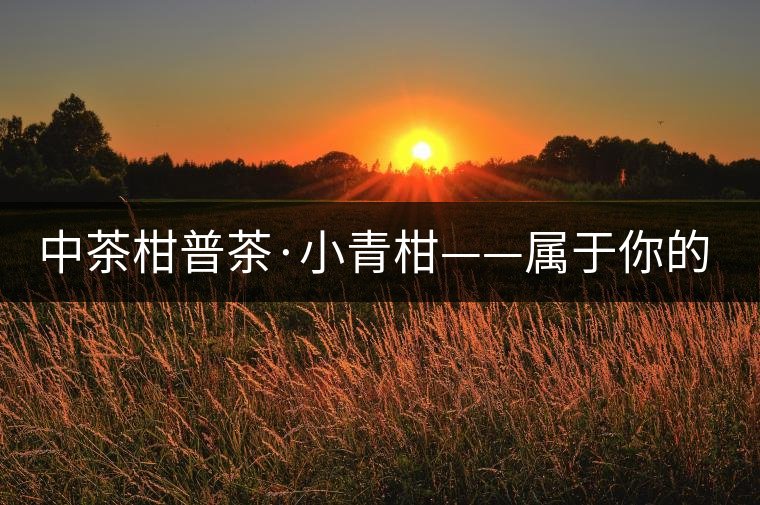 中茶柑普茶·小青柑——屬于你的小心柑 中茶柑普茶·小青柑——屬于你的小心柑
