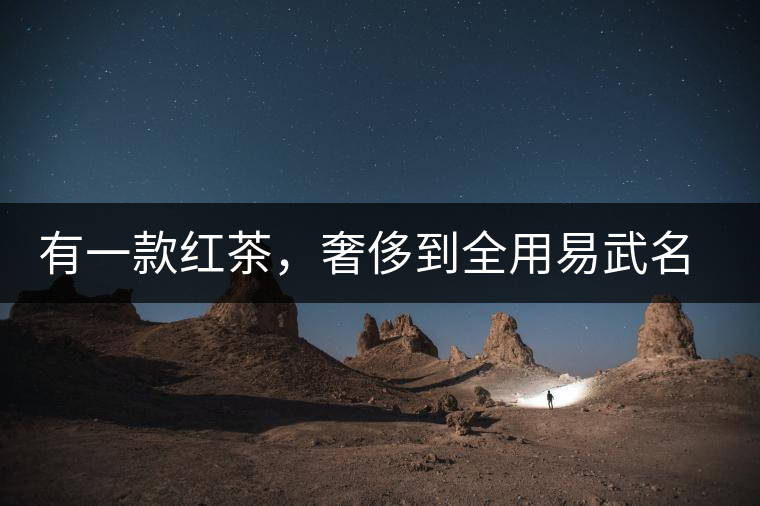 有一款紅茶，奢侈到全用易武名寨古樹茶發(fā)酵！