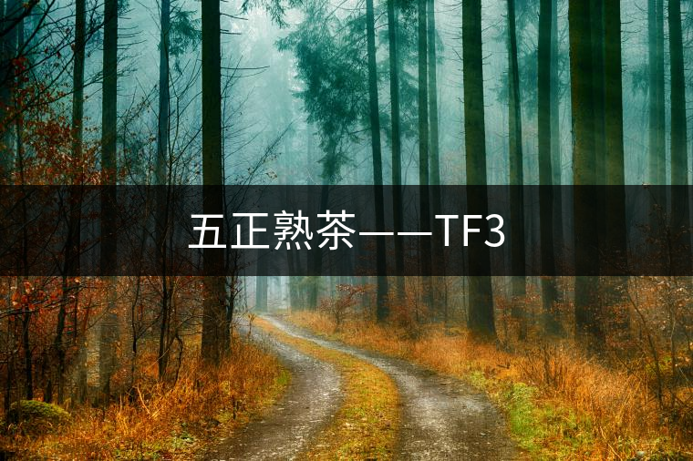 五正熟茶——TF3