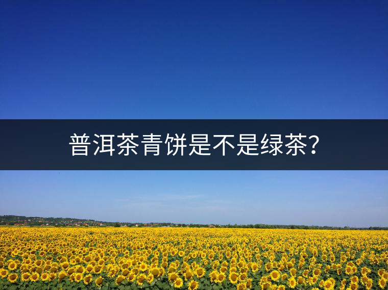 普洱茶青餅是不是綠茶？