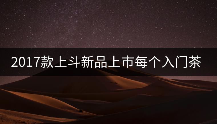 2017款上斗新品上市每個入門茶人都欠自己一餅上斗！