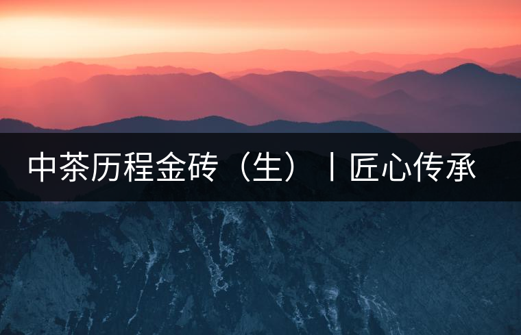 中茶歷程金磚（生）丨匠心傳承，精品迭出