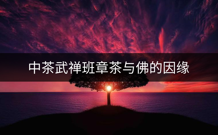 中茶武禪班章茶與佛的因緣 中茶武禪班章茶與佛的因緣