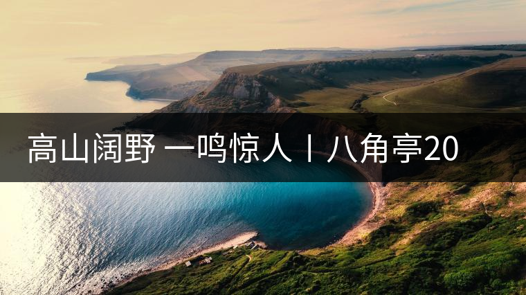高山闊野 一鳴驚人〡八角亭2017年生肖紀(jì)念茶“高鳴”新春上市