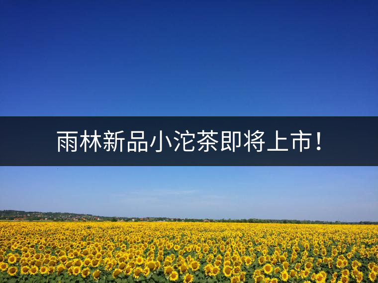 雨林新品小沱茶即將上市！