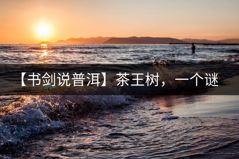 【書劍說普洱】茶王樹，一個(gè)謎一樣的地方