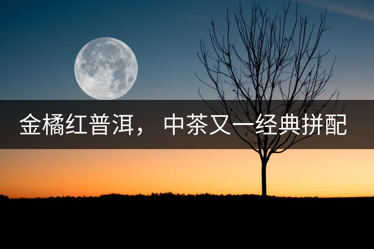 金橘紅普洱， 中茶又一經(jīng)典拼配力作，值得期待！