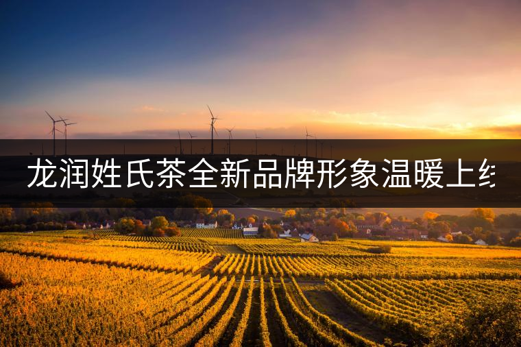 龍潤(rùn)姓氏茶全新品牌形象溫暖上線(xiàn)！
