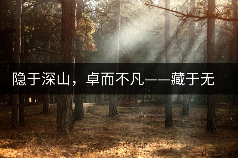 隱于深山，卓而不凡——藏于無量余脈的困鹿貢香