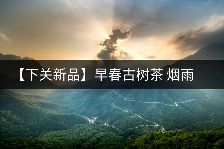 【下關(guān)新品】早春古樹茶 煙雨意濃濃