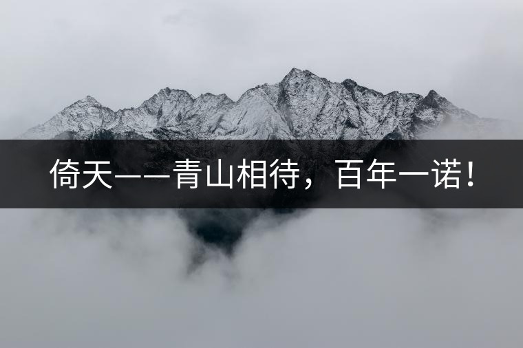 倚天——青山相待，百年一諾！