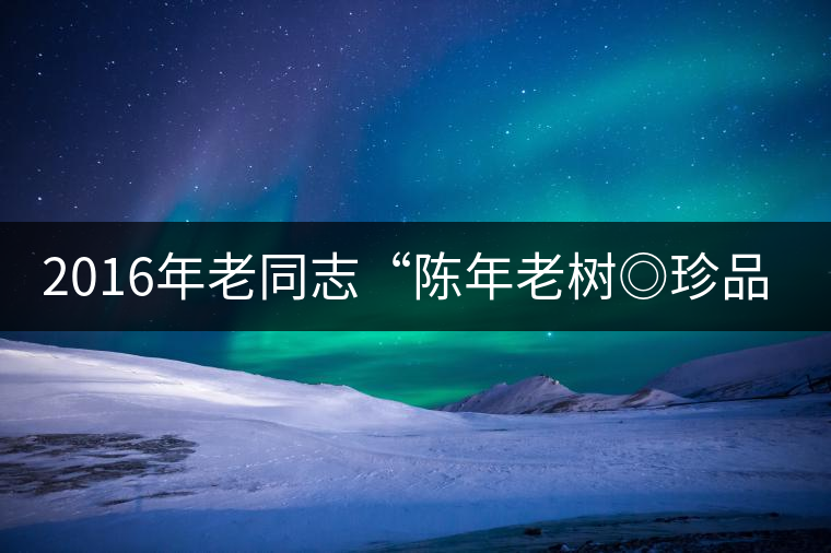 2016年老同志“陳年老樹(shù)◎珍品普洱”隆重上市！