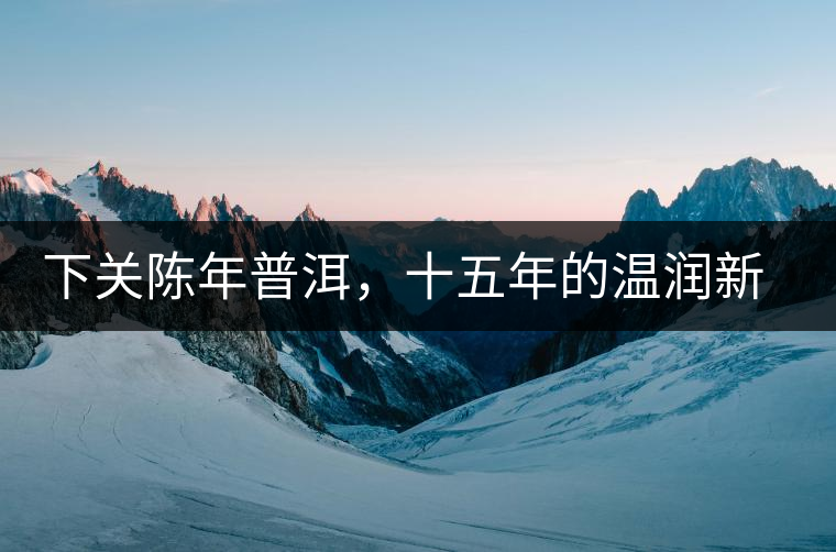 下關(guān)陳年普洱，十五年的溫潤新生