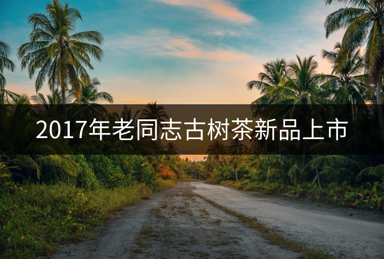 2017年老同志古樹茶新品上市