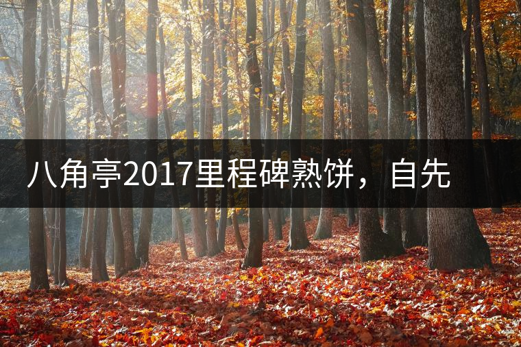 八角亭2017里程碑熟餅，自先發(fā)酵而后愛(ài)人