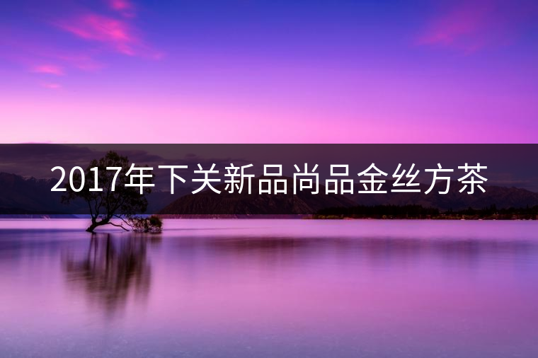 2017年下關新品尚品金絲方茶