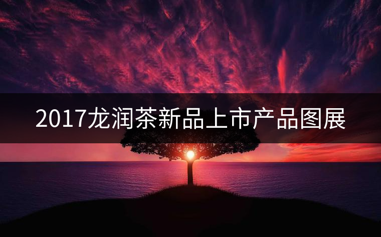 2017龍潤茶新品上市產(chǎn)品圖展