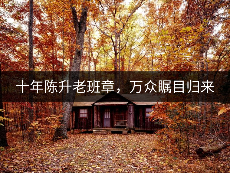 十年陳升老班章，萬眾矚目歸來