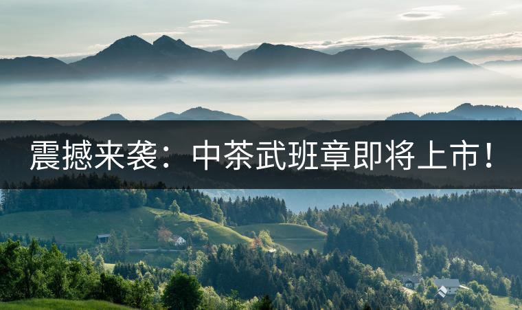 震撼來襲：中茶武班章即將上市！