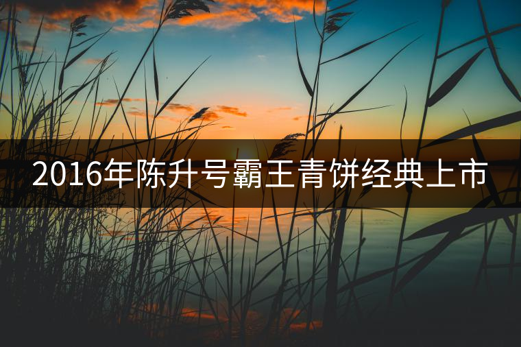 2016年陳升號霸王青餅經(jīng)典上市 2016年陳升號霸王青餅經(jīng)典上市