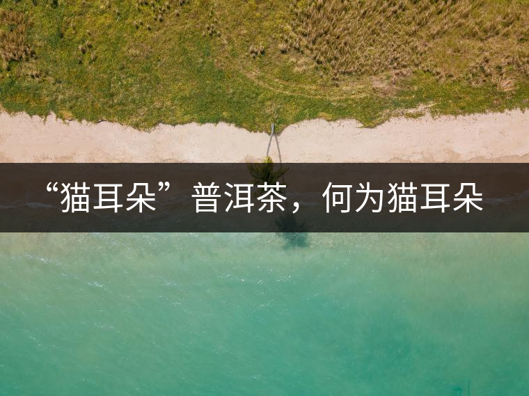 “貓耳朵”普洱茶，何為貓耳朵？