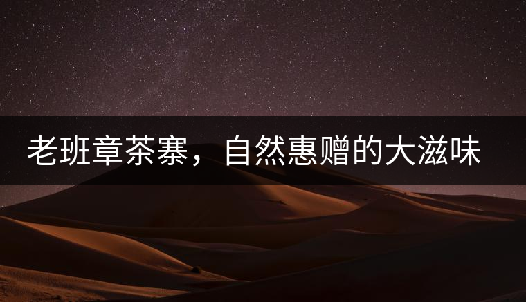 老班章茶寨，自然惠贈(zèng)的大滋味，大滿足