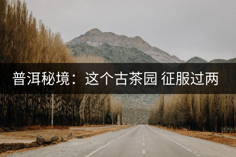 普洱秘境：這個(gè)古茶園 征服過兩任皇帝