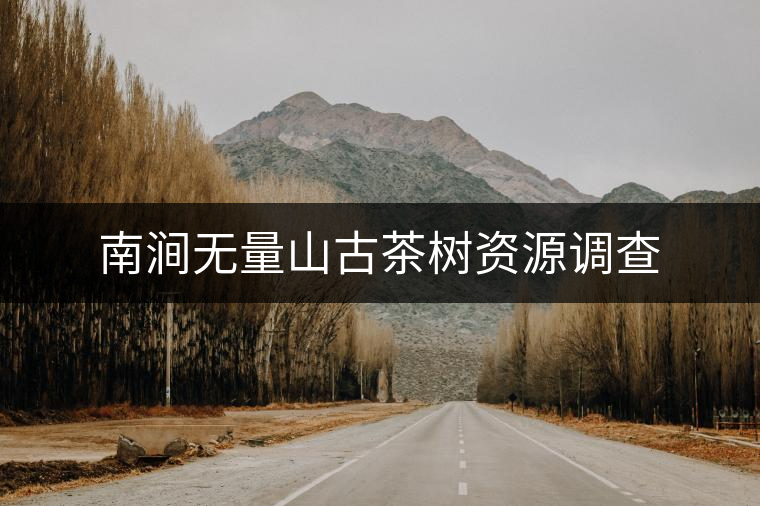 南澗無量山古茶樹資源調(diào)查