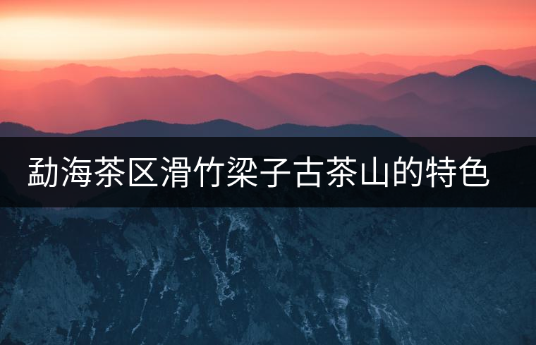 勐海茶區(qū)滑竹梁子古茶山的特色與口感 勐海茶區(qū)滑竹梁子古茶山的特色與口感