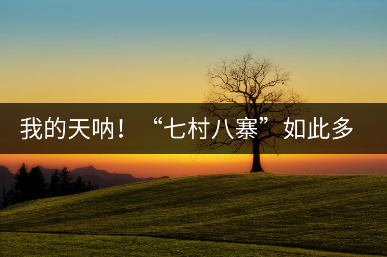 我的天吶！“七村八寨”如此多的易武茶，品質(zhì)特色如何分辨？