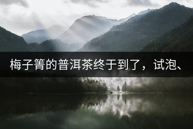 梅子箐的普洱茶終于到了，試泡、、、