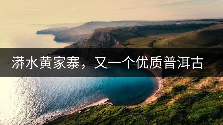 漭水黃家寨，又一個優(yōu)質(zhì)普洱古樹群落