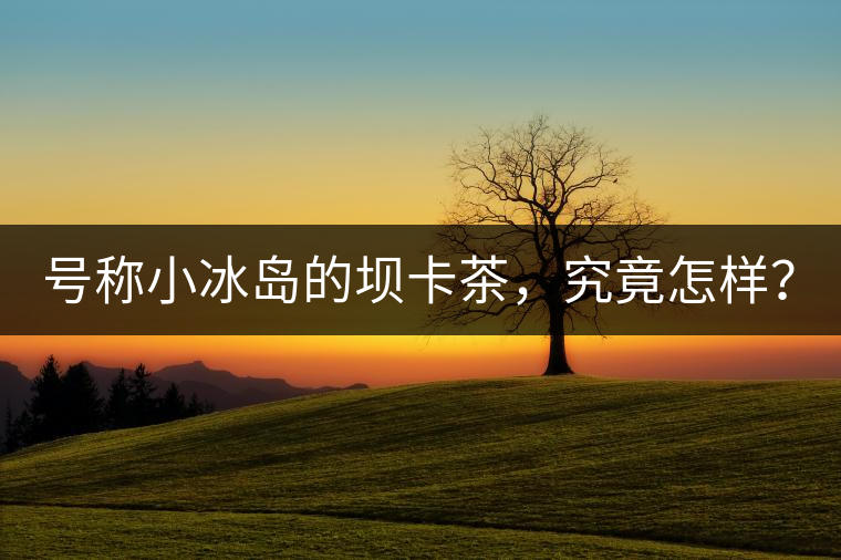 號稱小冰島的壩卡茶，究竟怎樣？