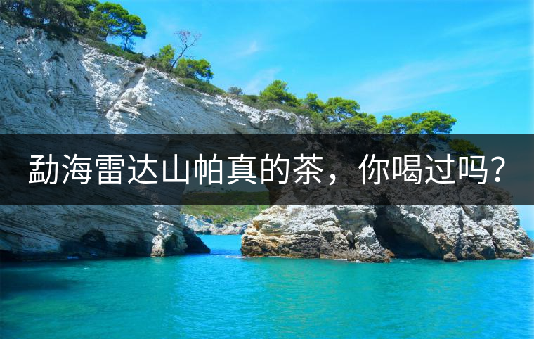 勐海雷達山帕真的茶，你喝過嗎？