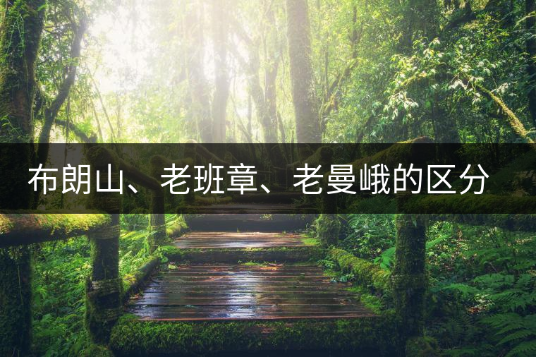 布朗山、老班章、老曼峨的區(qū)分和鑒別